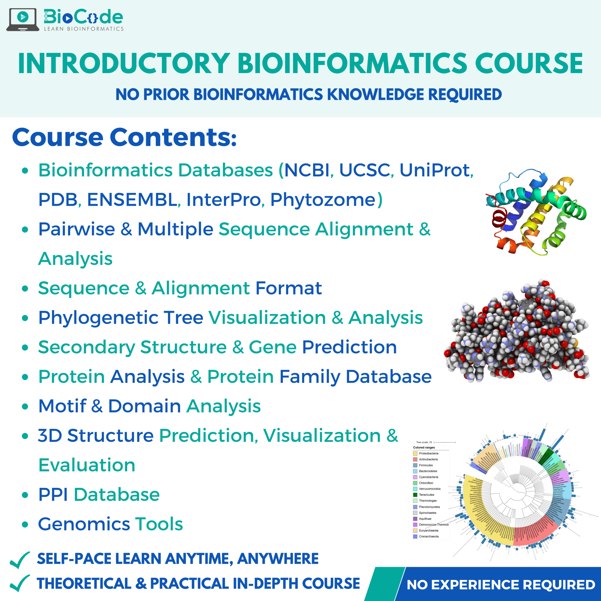 Introductory Bioinformatician Course BioCode