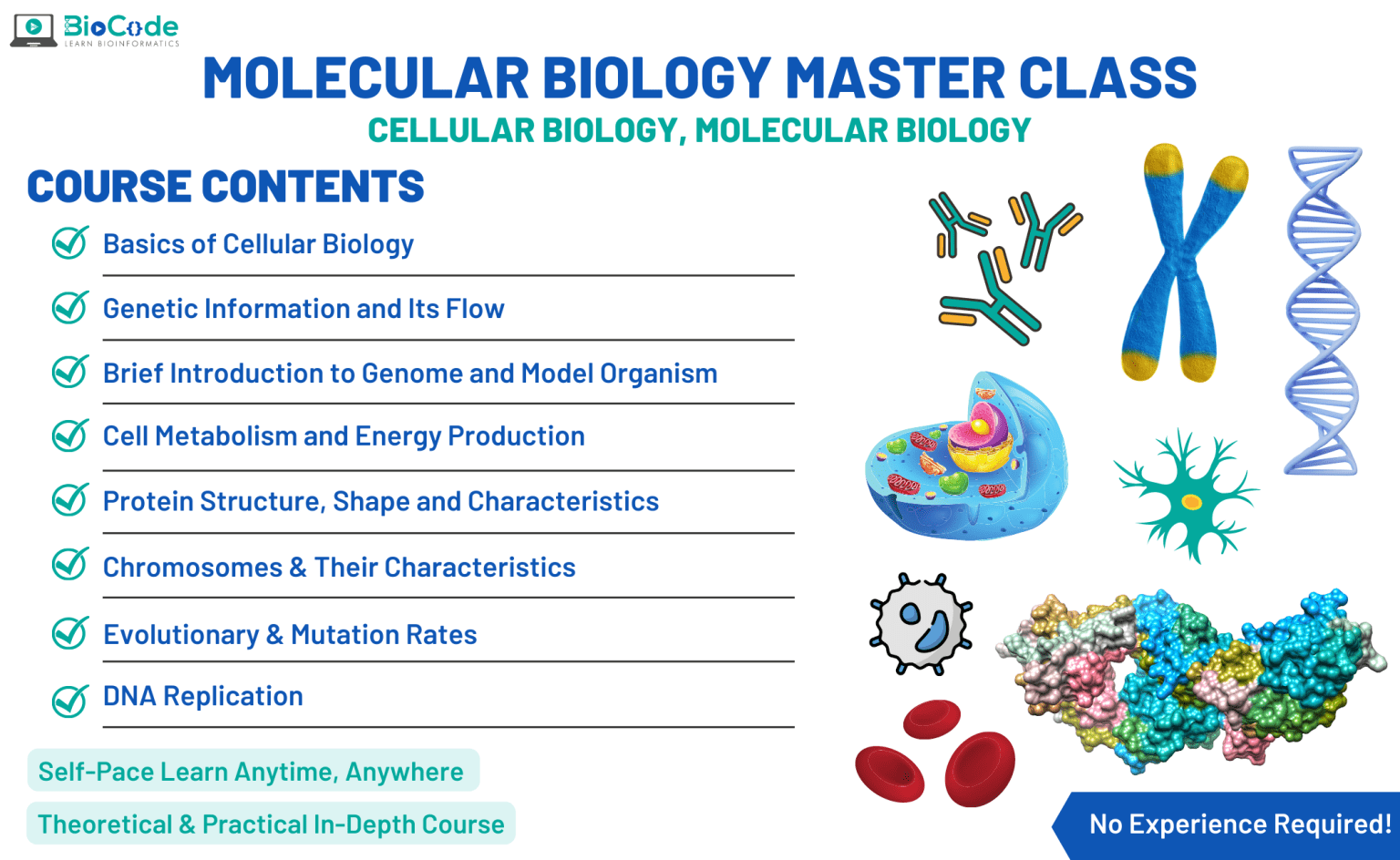 Molecular Biology MasterClass Learn Bioinformatics   Molecular Biology MasterClass Website Dimension 1536x944 