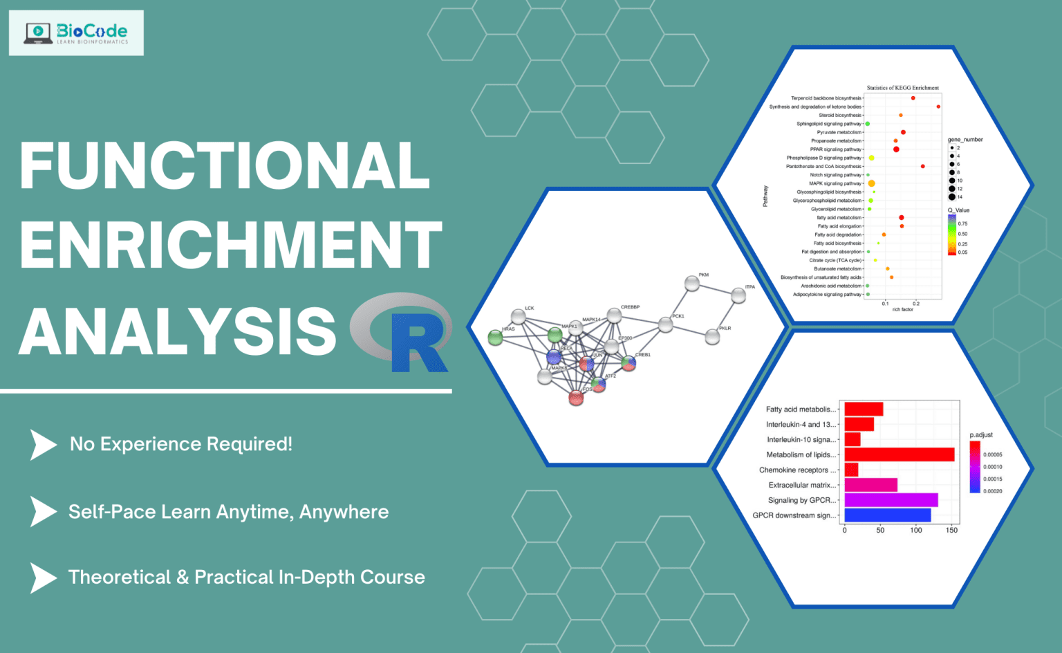 Functional Enrichment Analysis Gene Ontology Kegg Pathways Analysis Protein Protein 