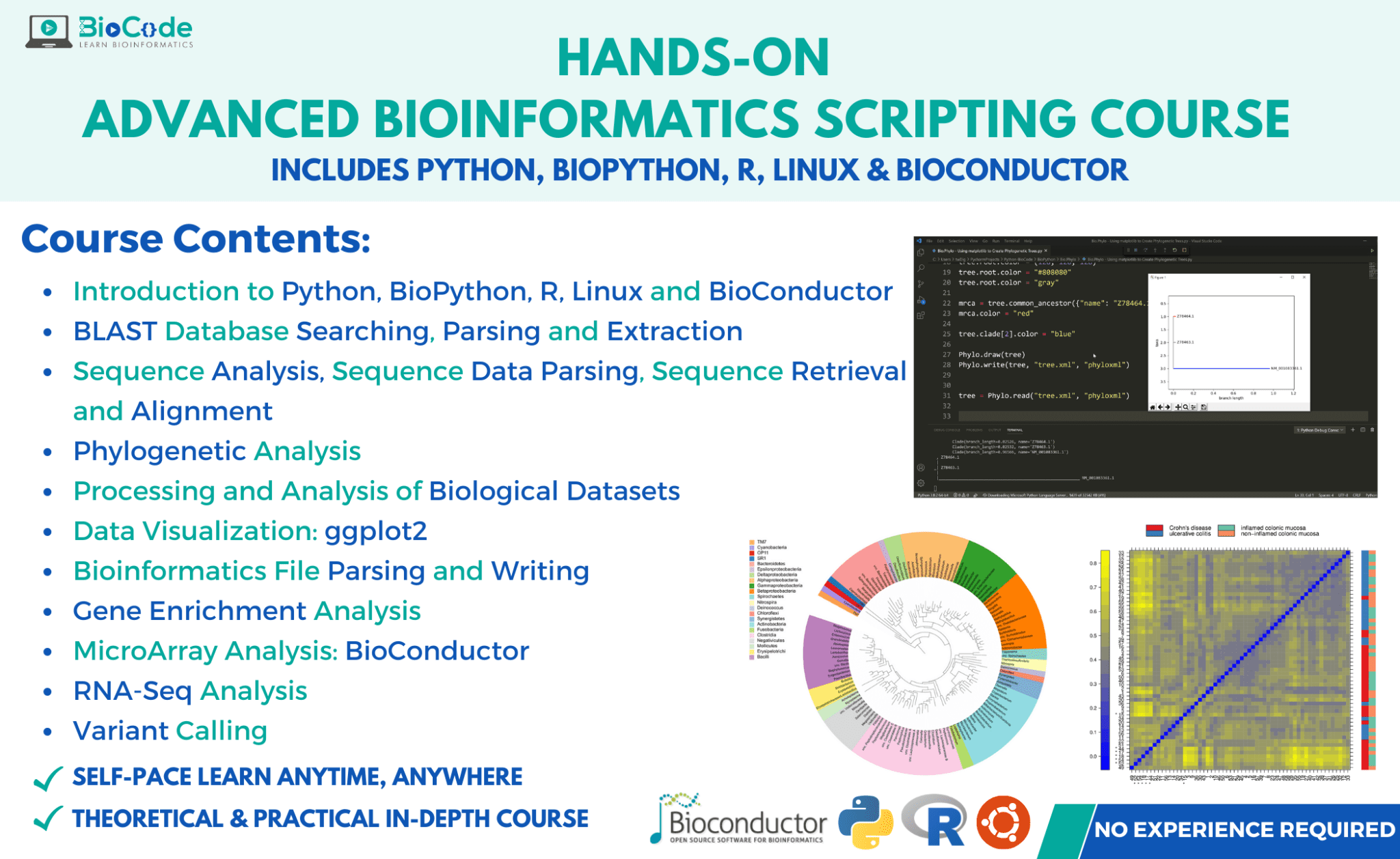 Advanced Bioinformatics Scripting In Python, BioPython, R ...