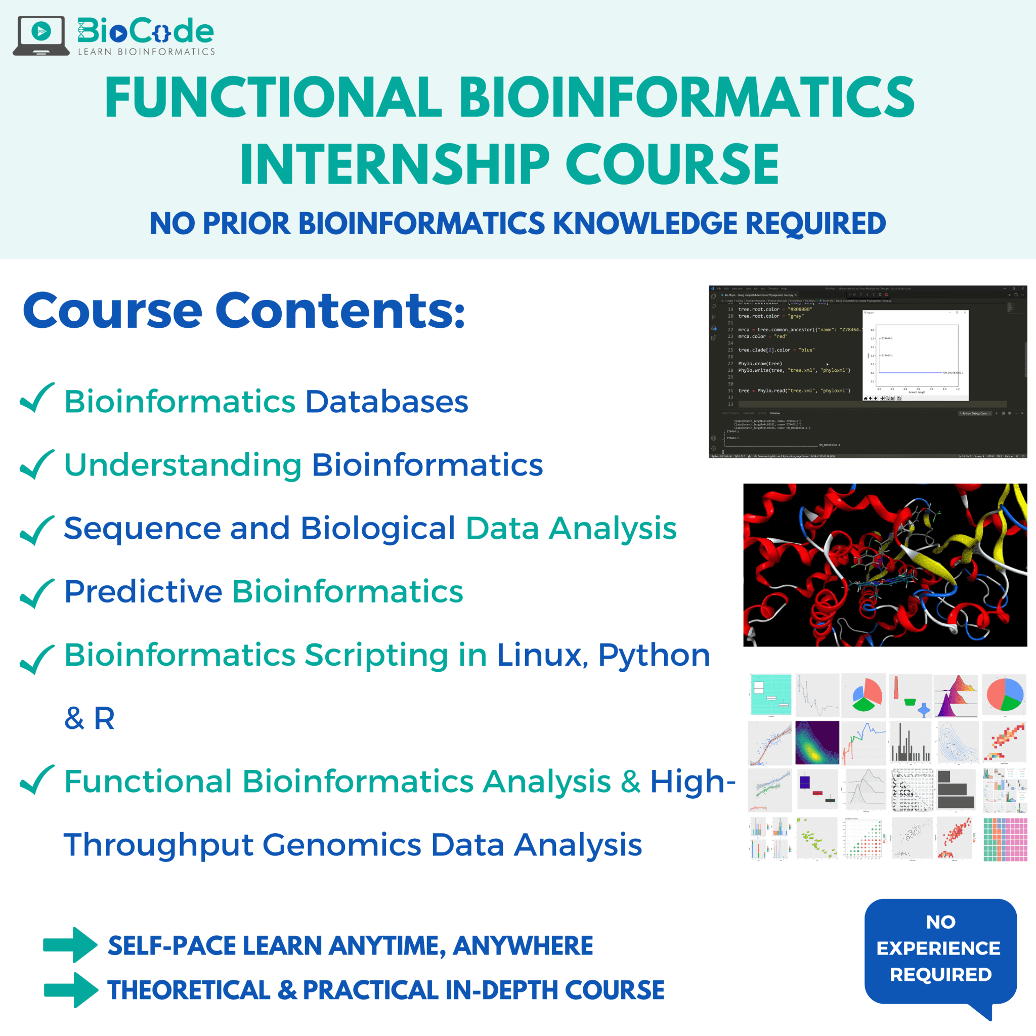 Functional Bioinformatics Internship Course BioCode