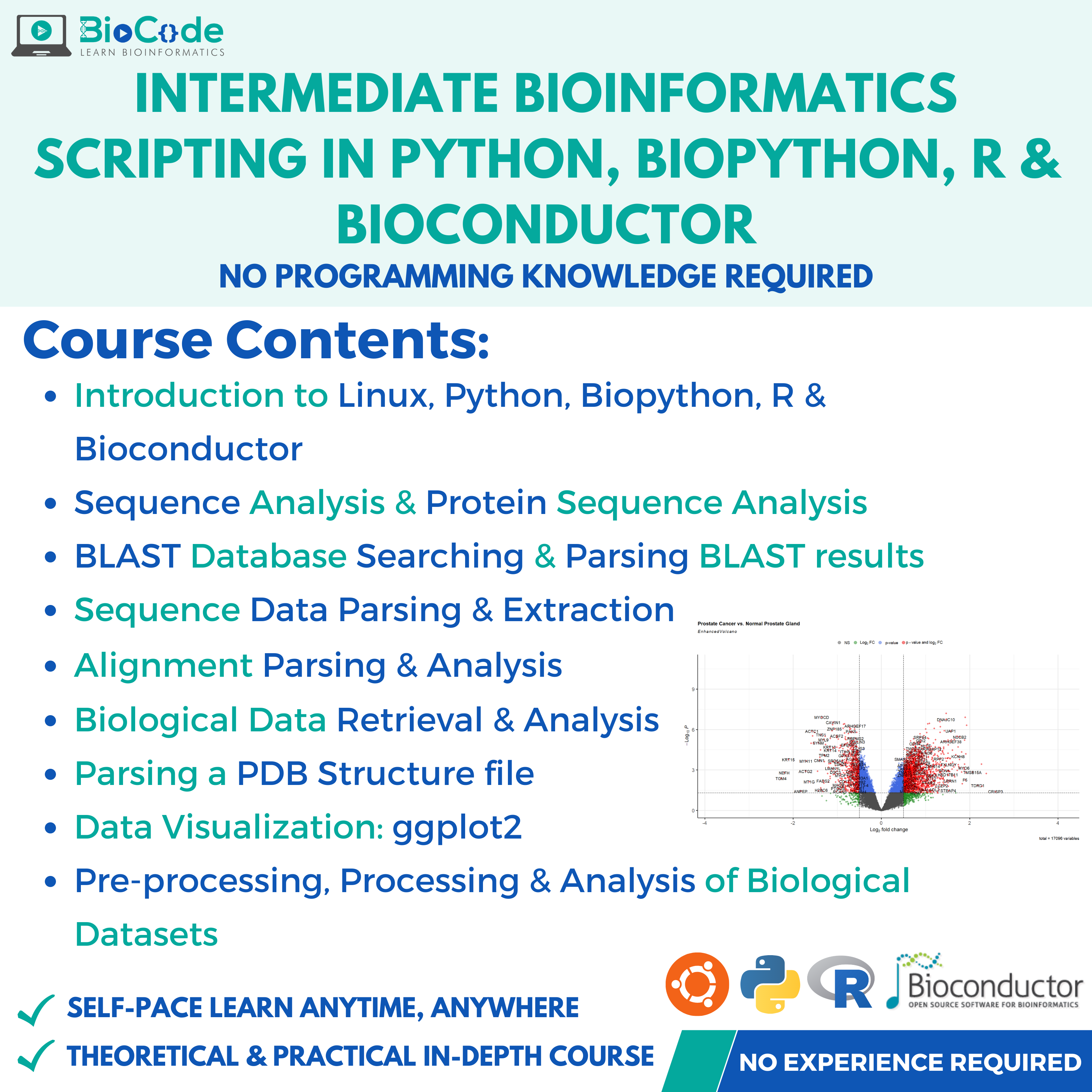 Intermediate Bioinformatics Scripting In Python, BioPython, R ...