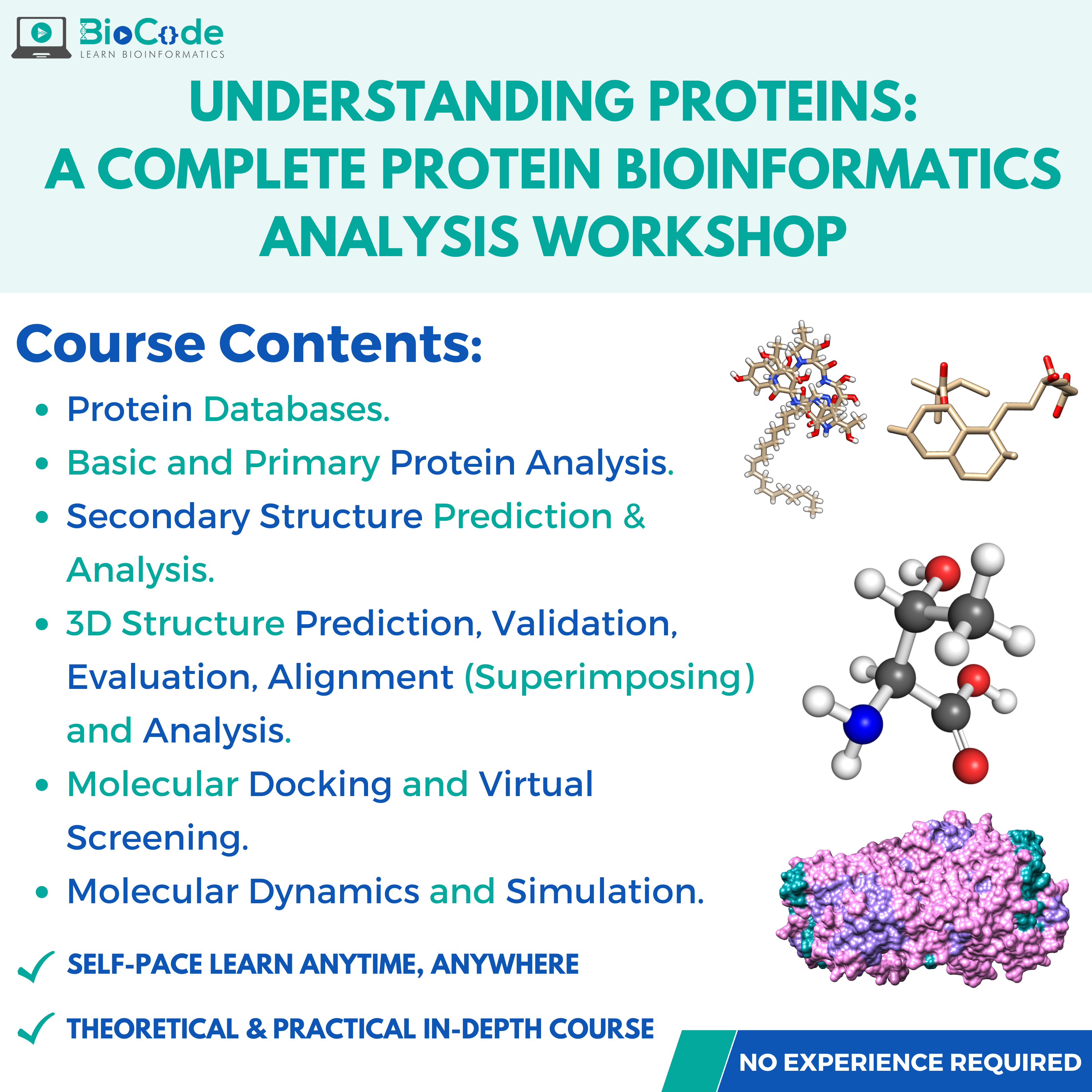 bioinformatics online tool for protein structure analysis