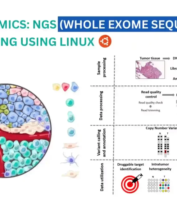 Cancer Genomics Ngs Whole Exome Sequencing Variant Calling Using Linux Biocode 