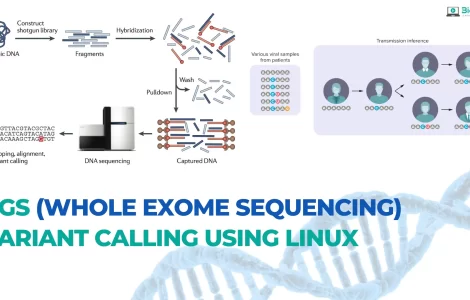 Hands-on: NGS (Whole Exome Sequencing) Variant Calling Using Linux ...