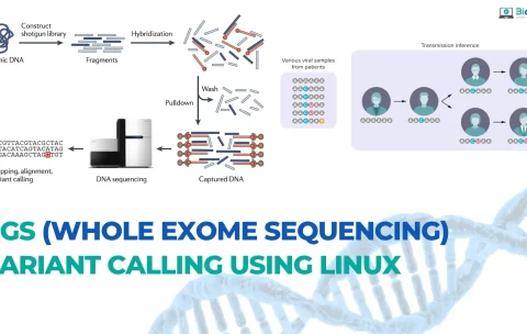 NGS – BioCode