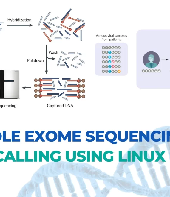 Hands On Ngs Whole Exome Sequencing Variant Calling Using Linux Biocode