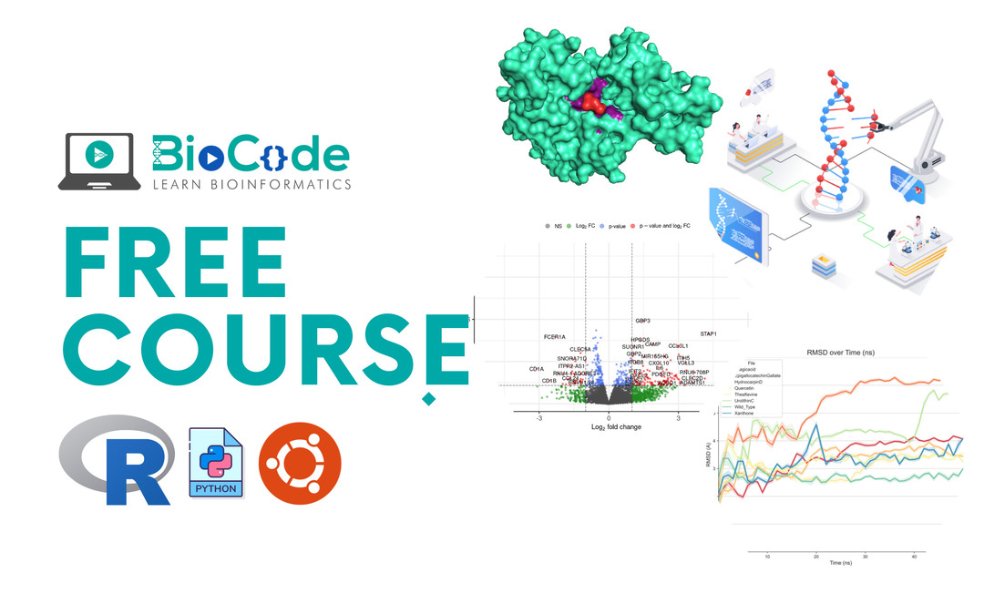 BioCode - Bioinformatics Courses And Services